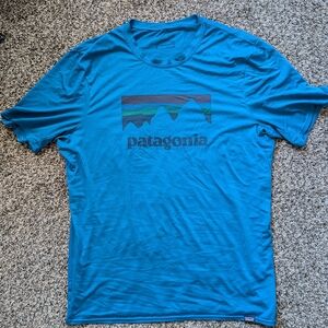 Patagonia Teal Short-Sleeve Logo Tee with Multicolor Mountain Graphic
